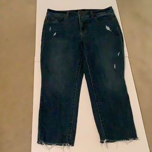 Talbots Jeans 8P